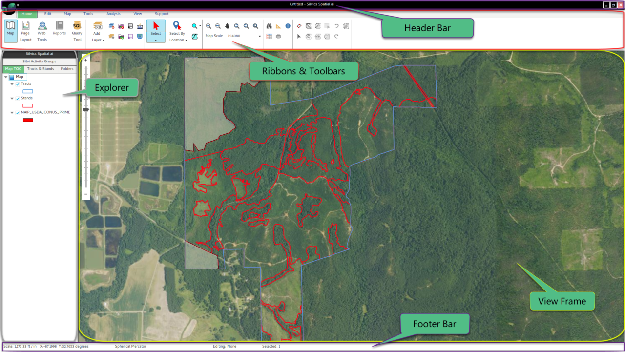 General User Interface Overview | Silvics University